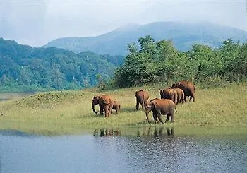 Hotel Ambadi Thekkady